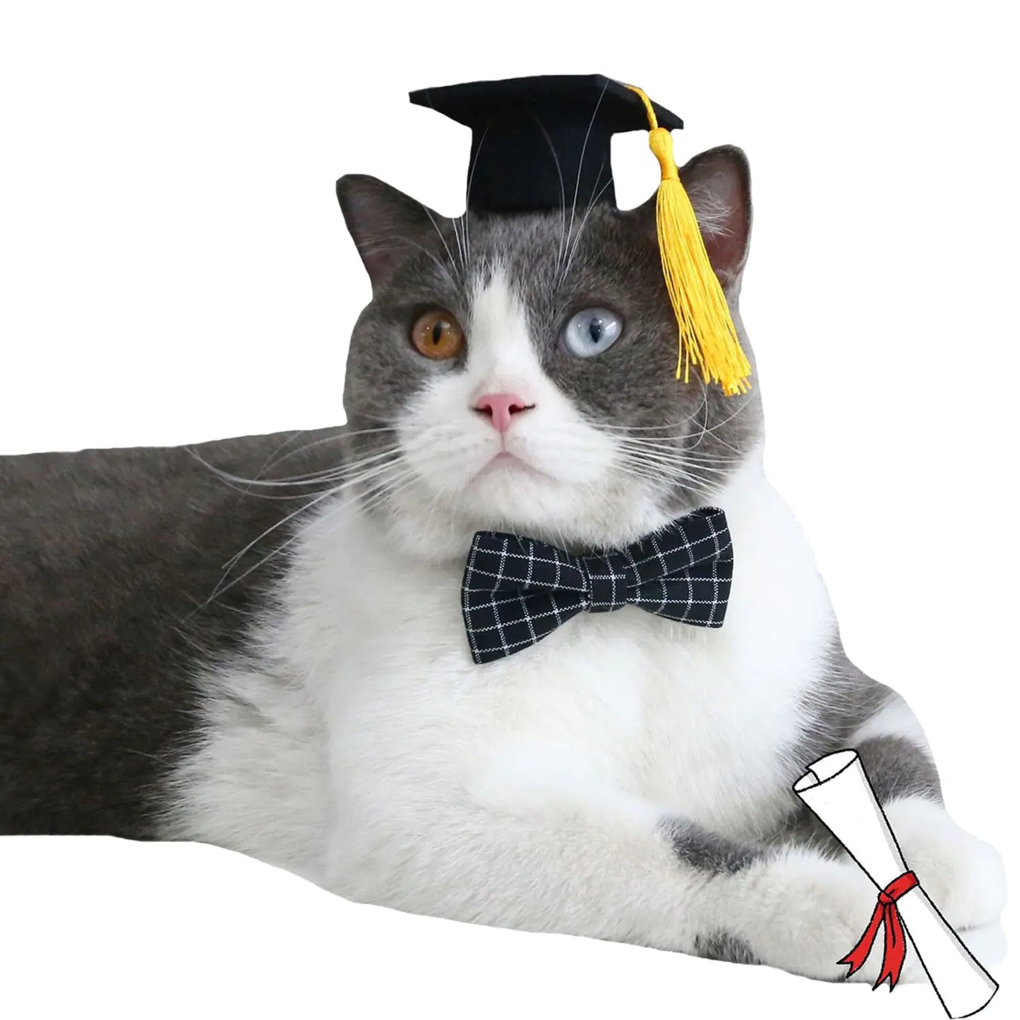 FLAdorepet Dog Graduation Caps with Bow Tie Necktie Pet Graduation Hats with Yellow Tassel Cat Graduation Costume Outfits Accessory for Dogs Cats (S(Suit for 5-20LBS) Black)