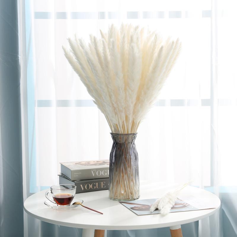 30pcs Natural Dried Pampas Grass