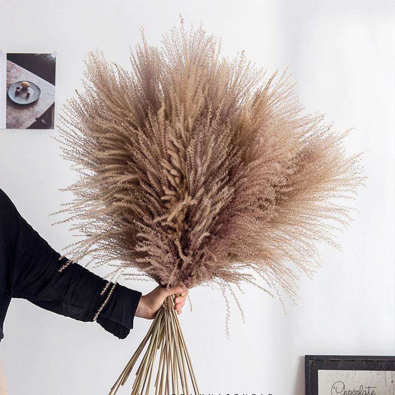 30pcs Natural Dried Pampas Grass