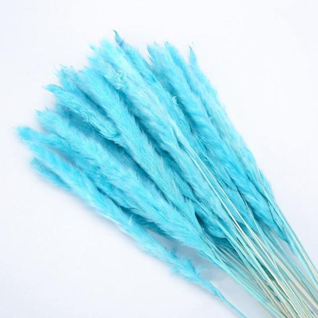30pcs Natural Dried Pampas Grass