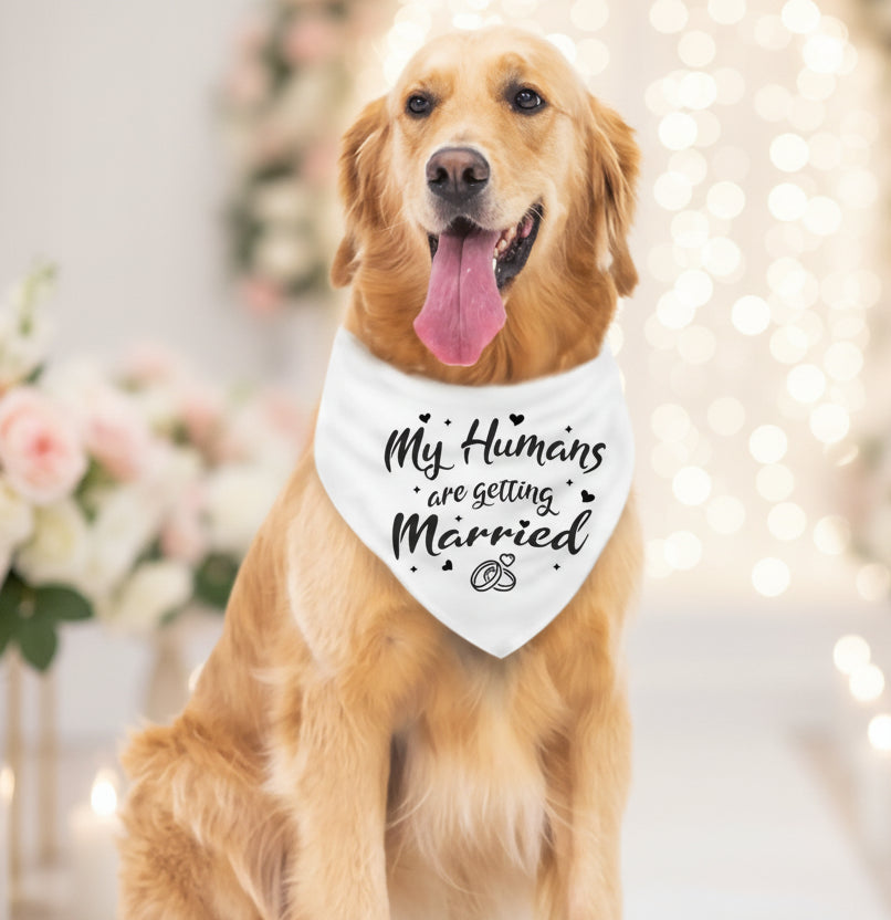 Wedding Dog Scarf